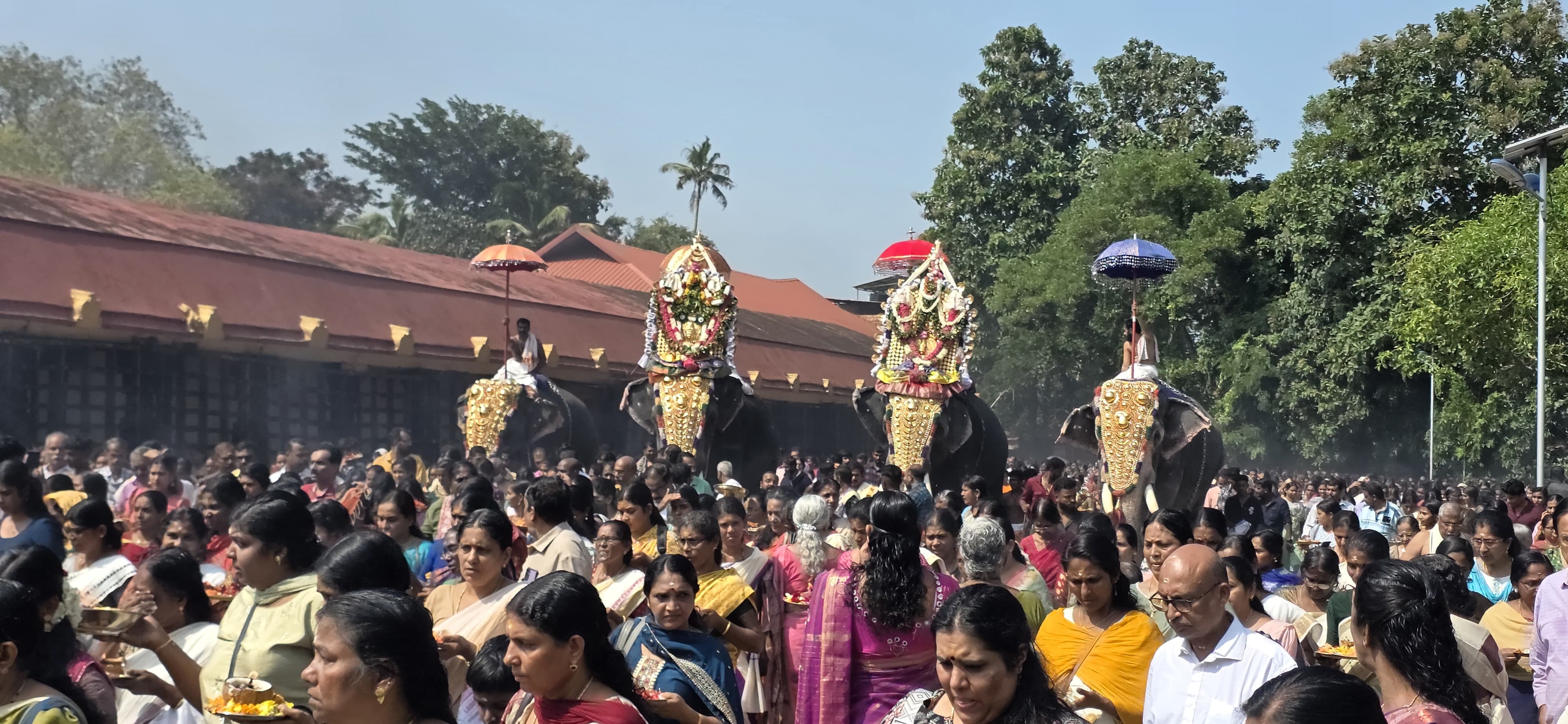   ചെങ്ങന്നൂർ ദേവിയുടെ തൃപ്പൂത്ത് ആറാട്ട് തൊഴുത് ആയിരങ്ങൾ
